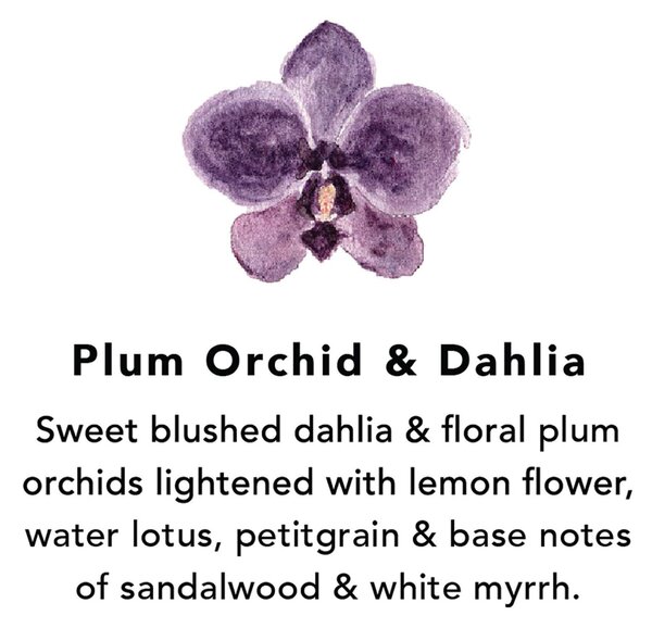 Northern Lights Plum Orchid & Dahlia Wax Melts