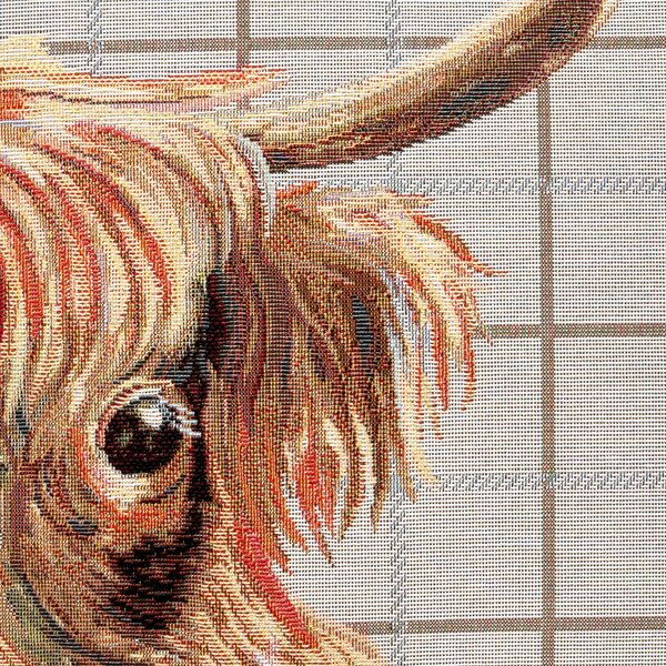 Highland Cow White Cushion