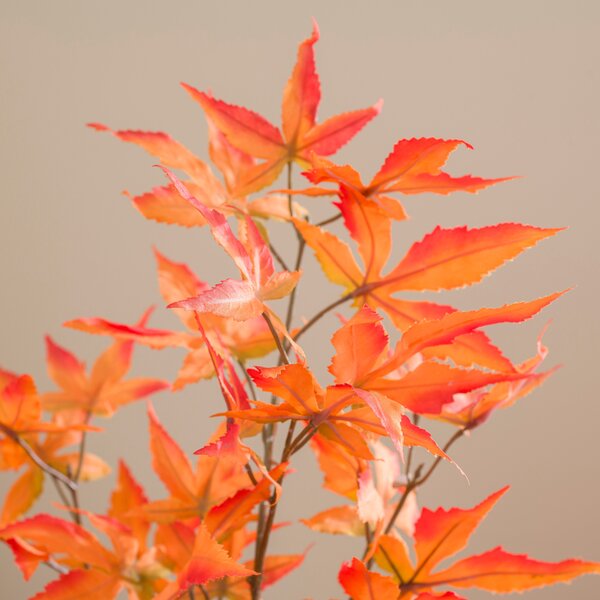 Artificial Maple Tree in Terracotta Plant Pot