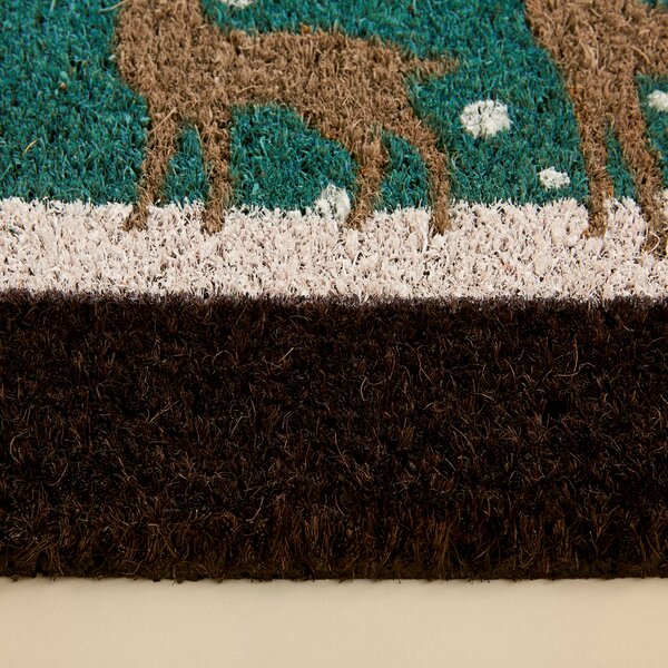 Snowglobe Coir Outdoor Doormat