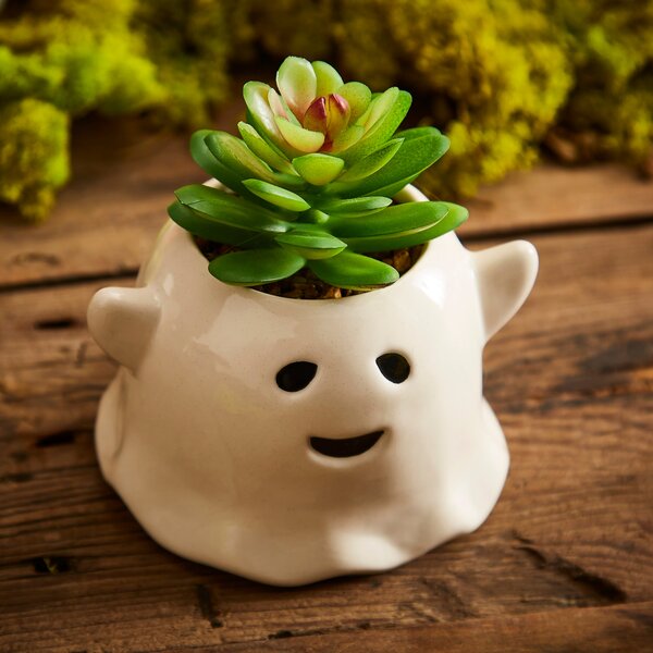 Artificial Ghost Succulent