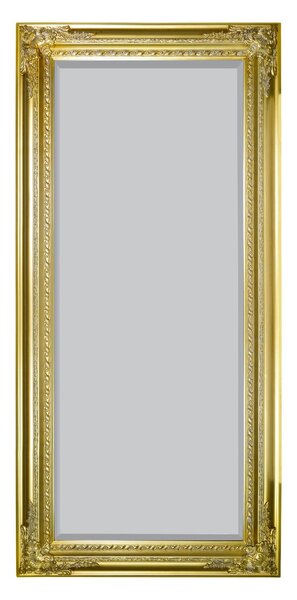 Caspian Vintage Elegant Rectangle Full Length Wall Mirror