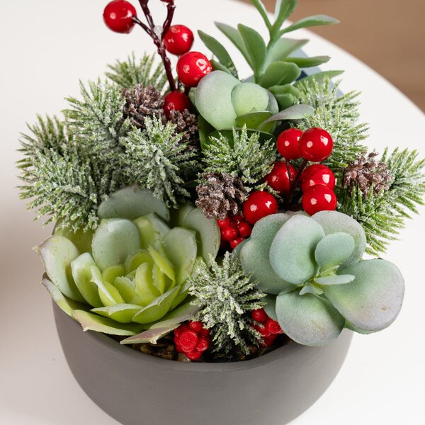 Artificial Christmas Succulents in Grey Cement Plant Pot