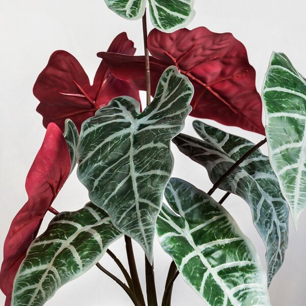 Artificial Alocasia Polly