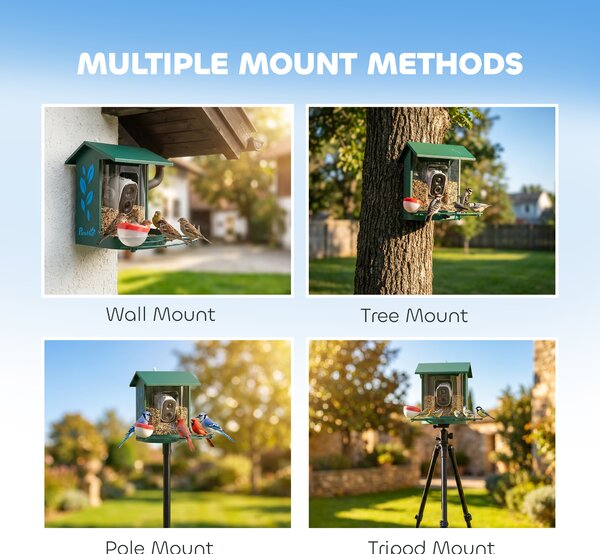 PawHut Smart Bird Feeder Camera 2K HD with AI Identifies 16,000+ Species, 2K HD Auto Capture Video, APP Instant Notifications