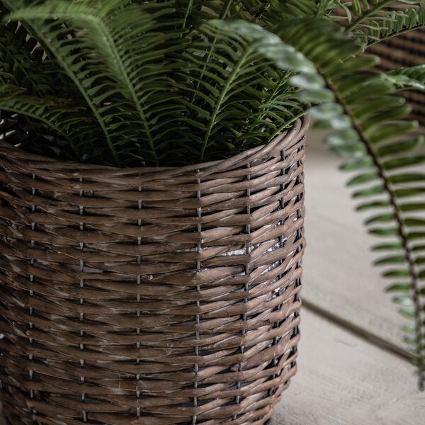 Artificial Fern in Wicker Plant Pot