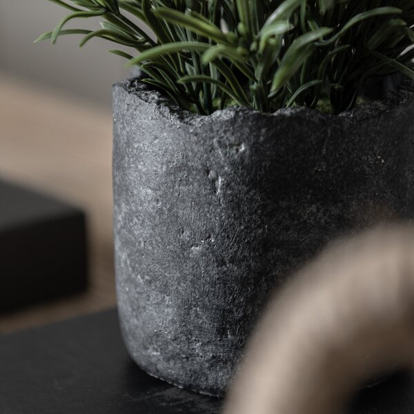 Artificial Fern in Cement Plant Pot