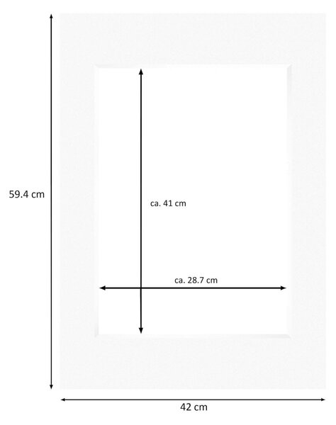 Nielsen Conservation White Picture Mount