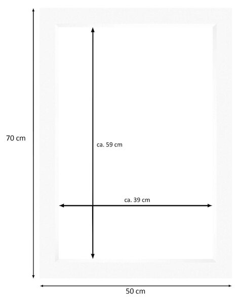 Nielsen Conservation White Picture Mount