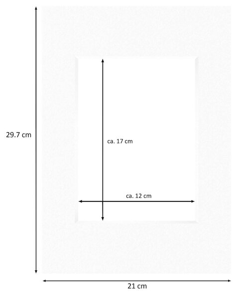 Nielsen Conservation White Picture Mount