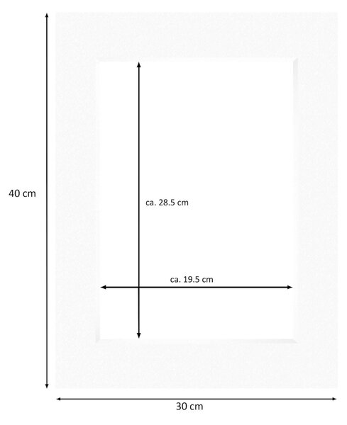 Nielsen Conservation White Picture Mount