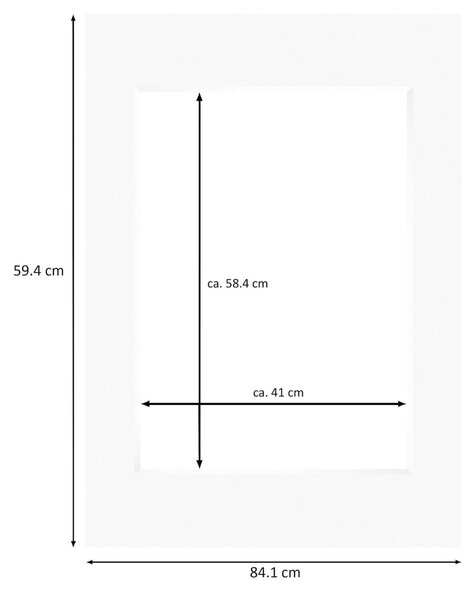 Nielsen Conservation White Picture Mount