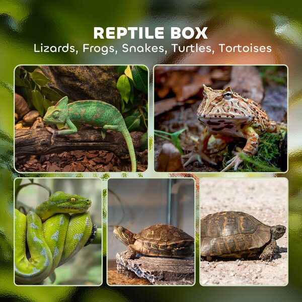 PawHut 12L Vivarium for Lizards, Frogs, Snakes & Tortoises, Anti-Escape Design, Ventilation, Safe & Spacious Habitat Aosom UK