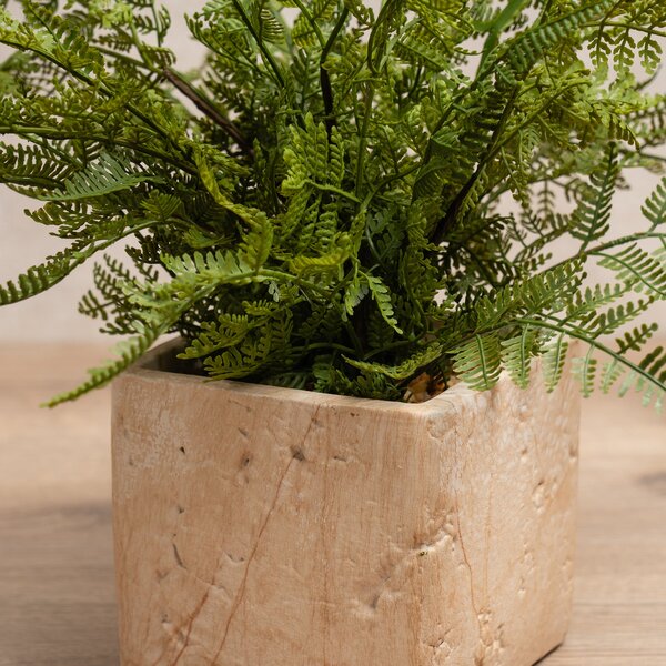 Artificial Fern in Cement Plant Pot