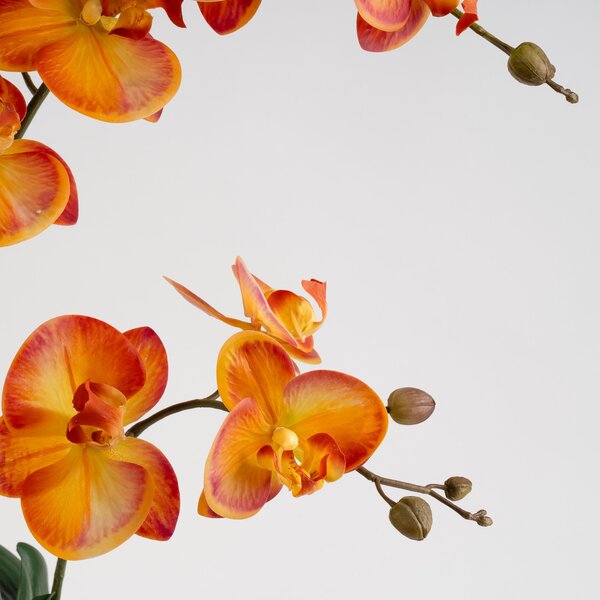 Artificial Real Touch Orange Phalaenopsis Orchid in Ceramic Plant Pot