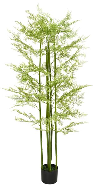 HOMCOM Decorative Artificial Plants Asparagus Fern Tree in Pot Fake Plants for Home Indoor Outdoor Decor, 155cm