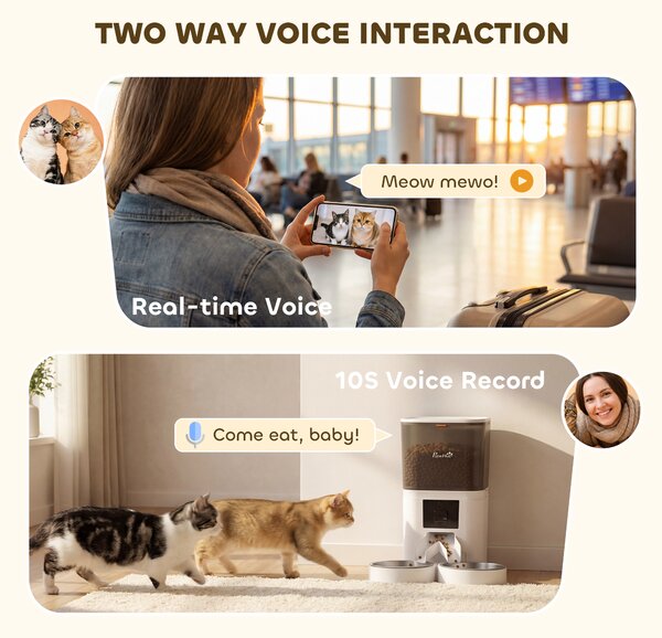 PawHut Automatic Cat Feeder for 2 Cats with HD Camera，2.4G & 5G WiFi Pet Food Dispenser 6L APP Control