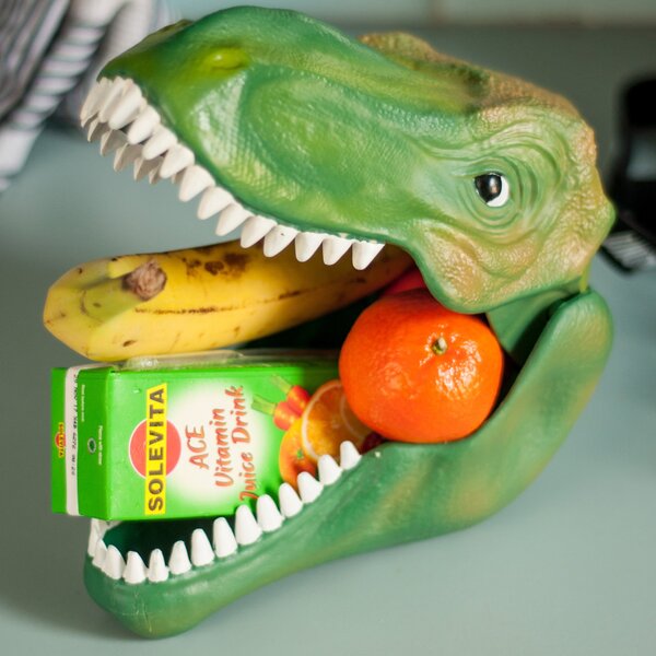 Dinosaur Plastic Lunch Box