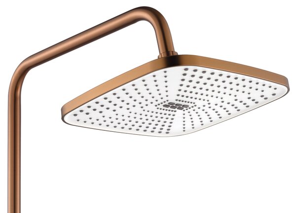 Shower set MY2021-77C REA ARGUS COPPER BRUSH