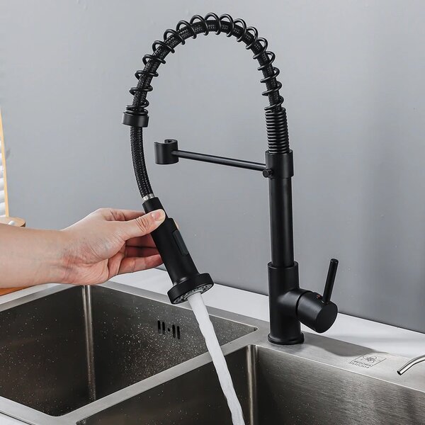 Kitchen faucet REA Colin Black