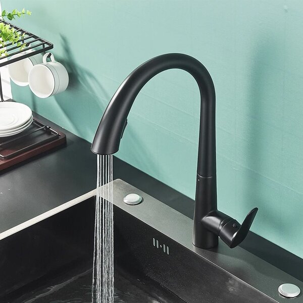 Kitchen faucet REA Ross Black
