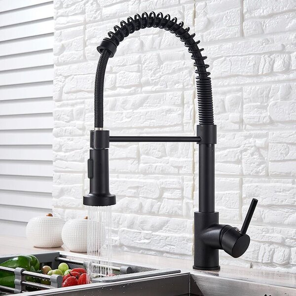 Kitchen faucet REA Colin Black