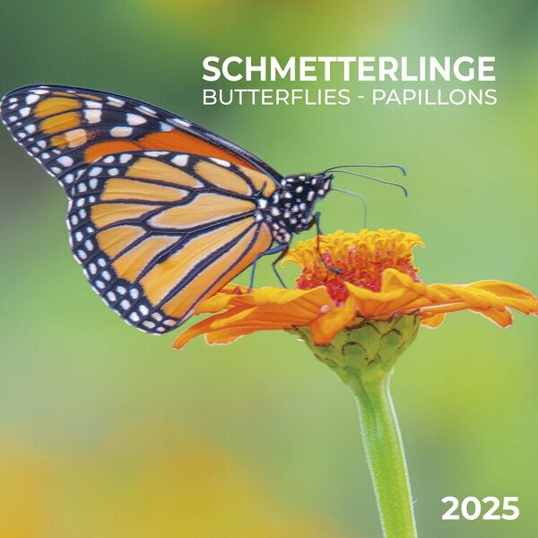 Calendar 2025 Butterflies