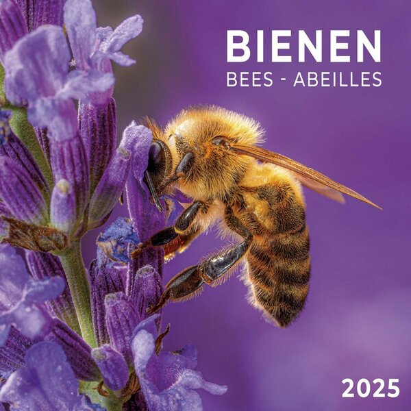 Calendar 2025 Bees