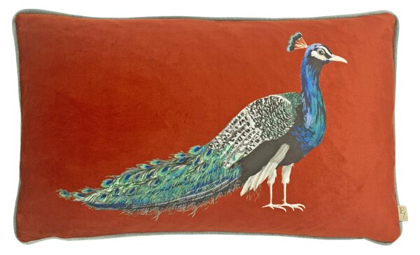Peacock Rectangular Cushion Sunset
