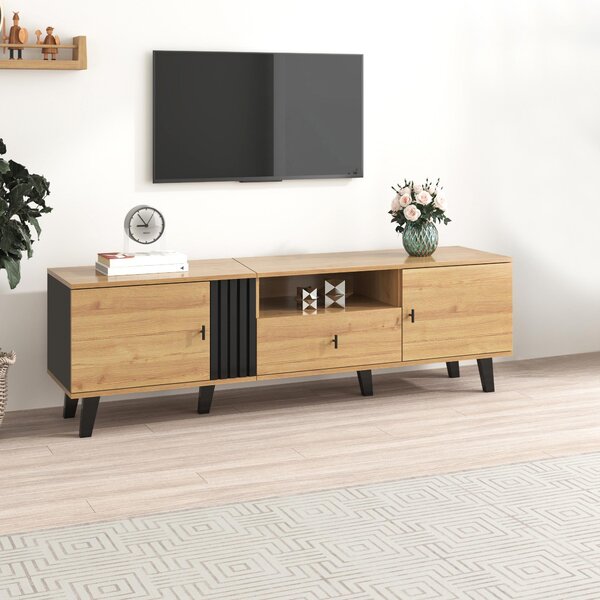 Modern TV Cabinet with 2 Doors, Slatted Front, Spacious Compartment, TV Stand for organised storage, 170L x 4W x 50.5H cm, Black+Wood Aosom UK