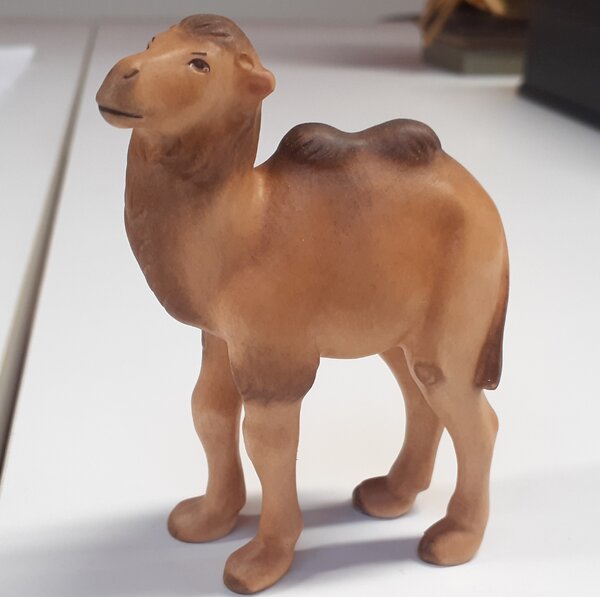 Camel for Nativity Scene - African