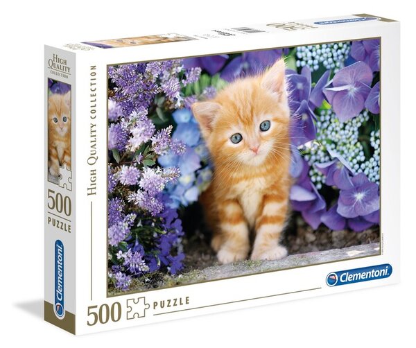 Puzzle Ginger Cat