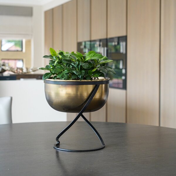 Kengsington Wide Brass Metal Round Plant Pot With Stand Brass