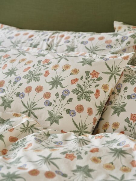 Sage & Mindful Cream Daisy Cotton Pillowcases (Pair) | Standard | Piglet in Bed