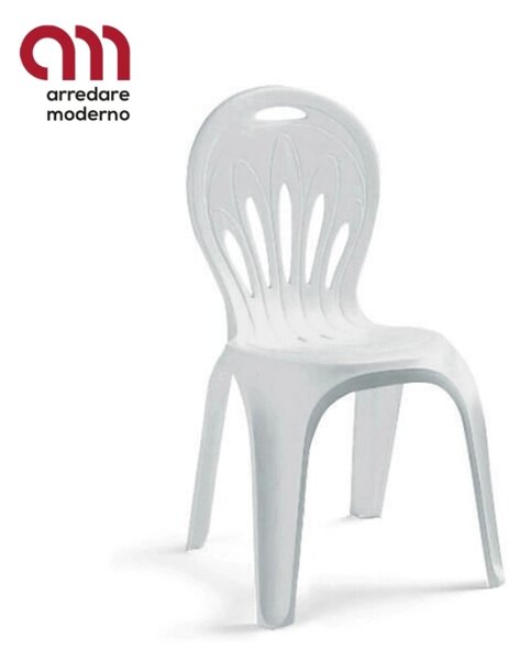 Stella di mare Chair Scab