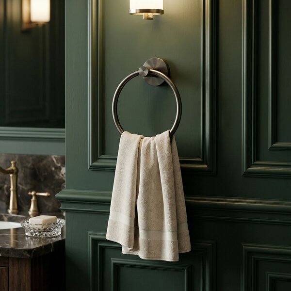 Bathroom hanger Ring 6610 Modern Titan