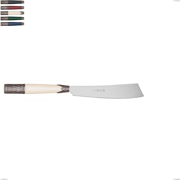 Aria Cake Knife, Coloured 18/10 AISI304 Stainless Steel, 231 mm, Acrylic and Metal Handle