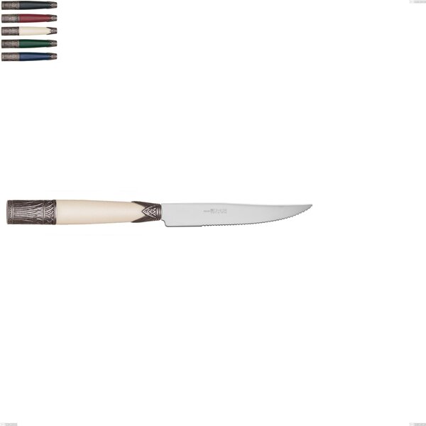 Steak Knife Aria, Coloured 18/10 AISI304 Stainless Steel, 221 mm, Acrylic and Metal Handle