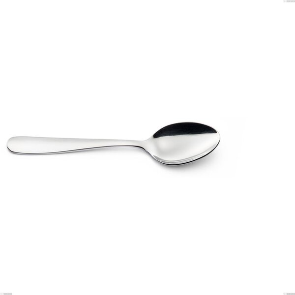 BETA Table Spoon in 18.10 AISI430 Stainless Steel, 200 mm Length with Polished Steel Handle, Dishwasher Safe