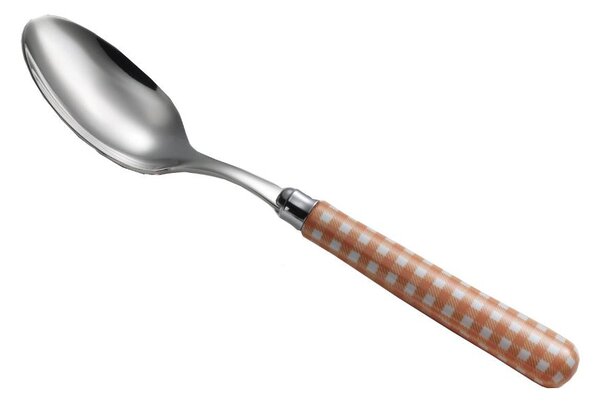 CARRE' Table Spoon in 18.10 AISI304 Stainless Steel with Acrylic Handle Dishwasher Safe