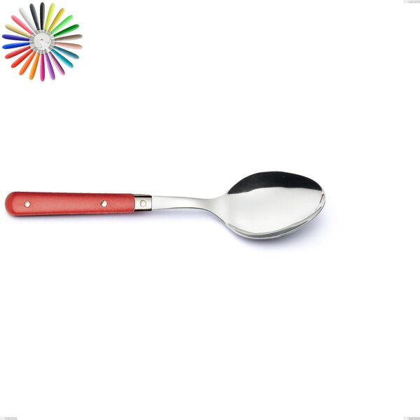 Country Serving Spoon, 18/10 AISI 304 Stainless Steel with ABS Handles