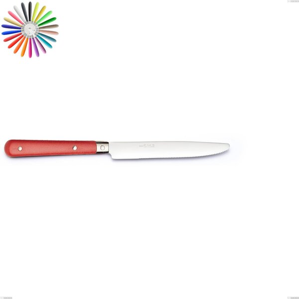 COUNTRY Table Knife in 18.10 Steel with Riveted Handle Dishwasher Safe