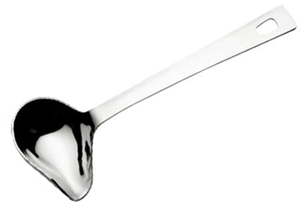 MINI FLY 20.5 cm Mirror-Polished 18/10 Stainless Steel Nickel-Free Sauce Ladle with Spout