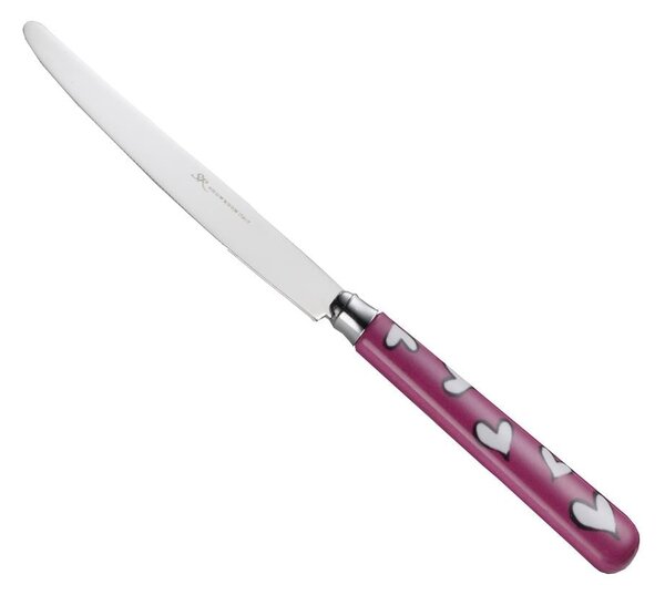 EROS Table Knife in 18.10 AISI430 Steel with Nylon Handle Dishwasher Safe