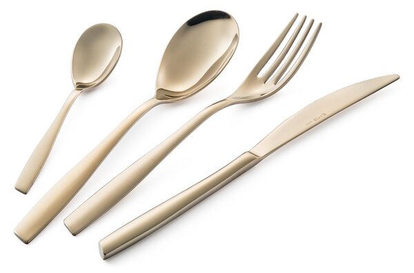 ELEVEN ROSE' Brunita Lucida Polished Burnished 24 pieces stainless steel 18.10 AISI304 2.5 mm in Showcase Packaging