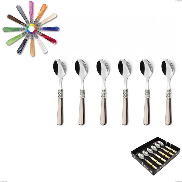 Geneva 6-piece coffee spoon display pack, (18.10 aisi304 stainless steel), methacrylate handle: Geneva cutlery set 6 pieces