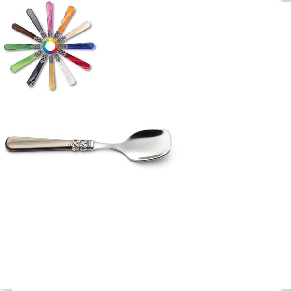 Ginevra Ice Cream Spoon, (18.10 aisi304 Stainless Steel), Nylon Handle, Length 147 mm