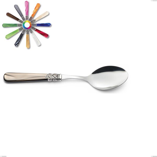 Ginevra Serving Spoon, (Stainless Steel 18.10 AISI304), Nylon Handle, Length 236 mm