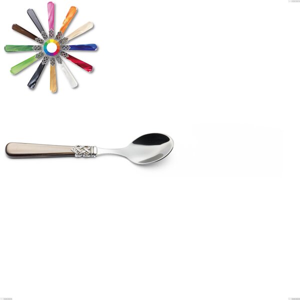 Ginevra Coffee Spoon, (18.10 aisi304 Stainless Steel), Nylon Handle, Length 144 mm