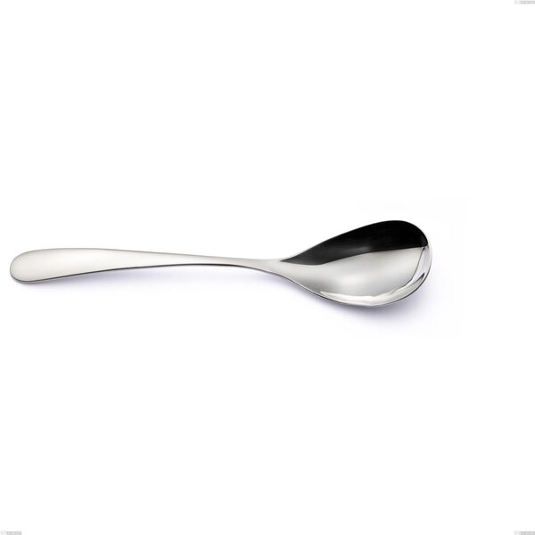 Hotel Serving Spoon, Stainless Steel 18.10 (AISI304), 2.5 mm Thickness, 260 mm Length, Polished Finish